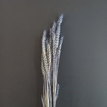 Load image into Gallery viewer, Wheat Dark Blue
