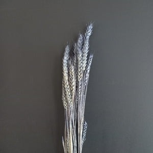 Wheat Dark Blue