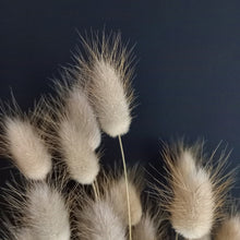 Load image into Gallery viewer, Bunny Tails Natural NZ
