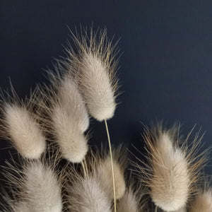 Bunny Tails Natural NZ