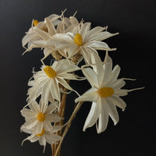 Load image into Gallery viewer, Hand Made Flowers - Daisy White
