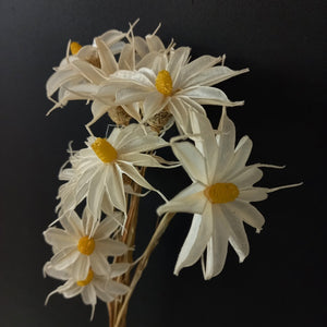 Hand Made Flowers - Daisy White