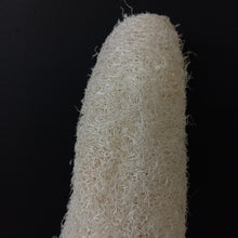 Load image into Gallery viewer, Luffa Bleached
