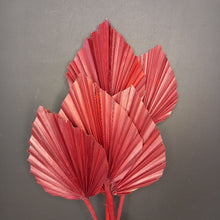 Load image into Gallery viewer, Palm Spear Dark Red
