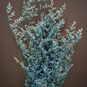 Limonium/Misty Blue