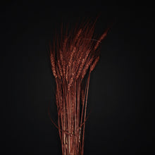 Load image into Gallery viewer, Barley Burgundy
