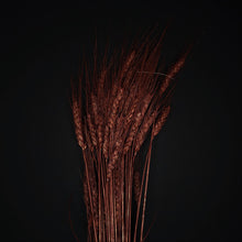 Load image into Gallery viewer, Barley Burgundy
