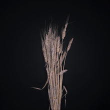 Load image into Gallery viewer, Barley Light Pink
