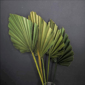 Palm Spear Moss Green