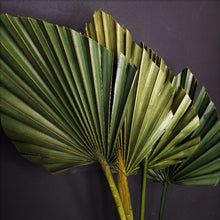 Load image into Gallery viewer, Palm Spear Moss Green
