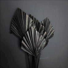Load image into Gallery viewer, Palm Spear Black
