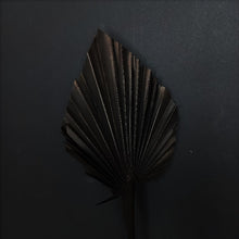 Load image into Gallery viewer, Palm Spear Black
