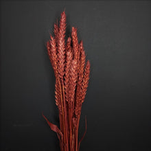 Load image into Gallery viewer, Wheat Burgundy
