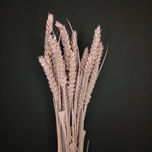 Load image into Gallery viewer, Wheat Light Pink
