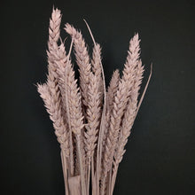 Load image into Gallery viewer, Wheat Light Pink
