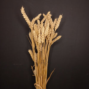 Wheat Natural