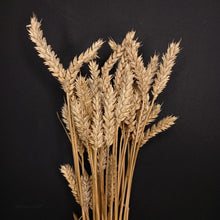 Load image into Gallery viewer, Wheat Natural
