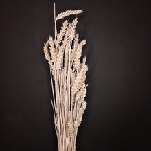 Load image into Gallery viewer, Wheat White
