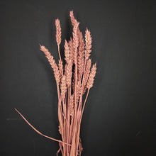 Load image into Gallery viewer, Wheat Dark Pink

