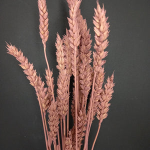 Wheat Dark Pink
