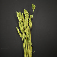 Load image into Gallery viewer, Wheat Green
