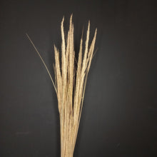 Load image into Gallery viewer, Marram Grass Natural
