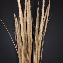 Load image into Gallery viewer, Marram Grass Natural
