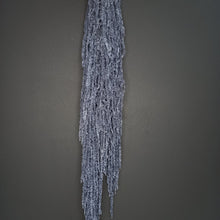 Load image into Gallery viewer, Amaranthus Dark Grey
