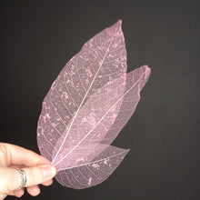 Load image into Gallery viewer, Skeleton Leaves - Pink
