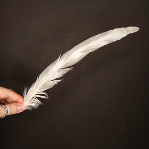 Rooster Feather Bleached