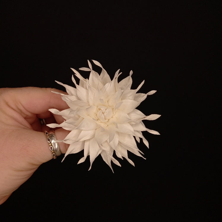Sola Flower head - Cactus Flower