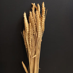Wheat Yellow