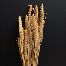 Load image into Gallery viewer, Wheat Yellow
