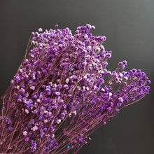 Load image into Gallery viewer, Gyp Purple
