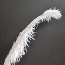 Load image into Gallery viewer, Copy of Ostrich Feathers White 65cm
