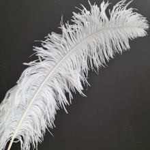 Load image into Gallery viewer, Copy of Ostrich Feathers White 65cm

