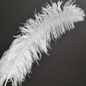 Copy of Ostrich Feathers White 65cm