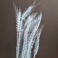 Load image into Gallery viewer, Barley Light Blue
