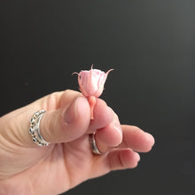 Load image into Gallery viewer, Micro Rose Heads - Baby Pink
