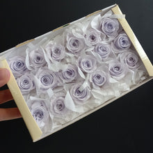 Load image into Gallery viewer, Piccola Blossom Rose Heads - Lavender Fizz
