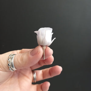 Piccola Blossom Rose Heads - Lavender Fizz