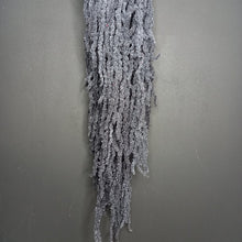 Load image into Gallery viewer, Amaranthus Dark Grey
