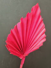 Load image into Gallery viewer, Palm Spear Red

