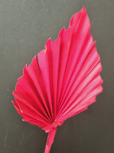 Palm Spear Red
