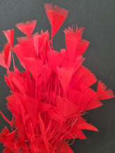 Load image into Gallery viewer, Feather cluster Red
