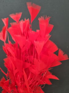 Feather cluster Red