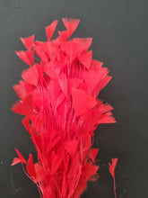 Load image into Gallery viewer, Feather cluster Red
