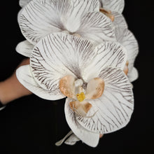 Load image into Gallery viewer, Premium Artificial Phalaenopsis Stem - White/Black
