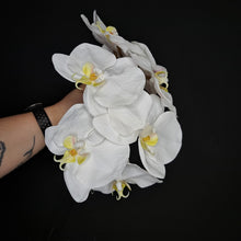 Load image into Gallery viewer, Premium Artificial Phalaenopsis Stem - White
