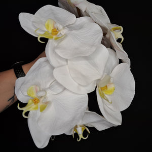 Premium Artificial Phalaenopsis Stem - White